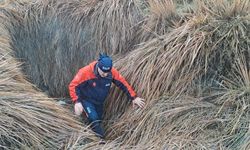 Diyarbakır'da kaybolan kadın 10 gündür bulunamadı