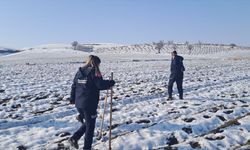 Diyarbakır'da kaybolan kadını arama çalışmaları sürüyor