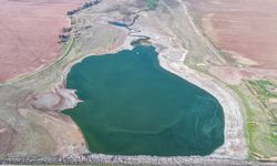 Diyarbakır'ın 'kuş cenneti' kuruma tehlikesi yaşıyor