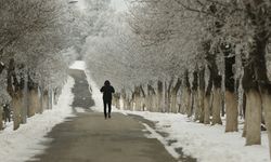 Diyarbakır'da soğuk hava etkili oluyor