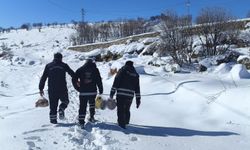 Eğil Belediyesinden ihtiyaç sahibi ailelere destek