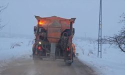 Elazığ, Şırnak, Batman ve Bingöl'de bazı yollar kapalı