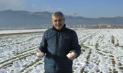 Gaziantep'te kar yağışı çiftçinin yüzünü güldürdü