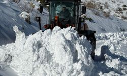 Gercüş’te Karla Mücadele Çalışmaları Sürüyor