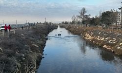 Sulama kanalına düşen otomobil sürücüsü bulunamadı