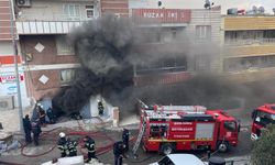 Şanlıurfa'da çıkan yangın kontrol altına alındı