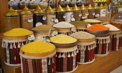 Güneydoğu Anadolu'nun hububat, bakliyat ve yağlı tohumlar ihracatı 2025'te yüzde 3,6 arttı