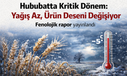 Hububatta Kritik Dönem: Yağış Az, Ürün Deseni Değişiyor