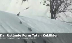 Kar Üstünde Form Tutan Keklikler Sosyal Medyanın Gündeminde
