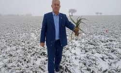 Kar yağışı çiftçileri sevindirdi