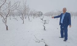 Kar yağışı en çok üreticileri sevindiriyor