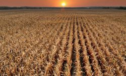 Kırsal kalkınma desteklerinde yeni dönem: Hibe oranları %70'e çıkıyor