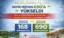 Korunan Alanlarda Tarihi Artış; sayı 690 oldu