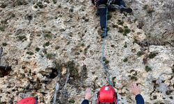 Mardin'de dağda mahsur kalan keçiyi AFAD ekibi kurtardı