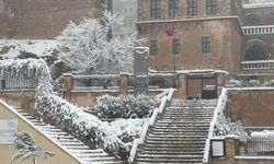 Mardin'de kar yağışı etkili oldu