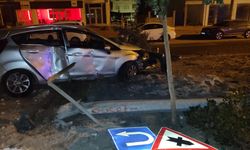 Mardin'de refüje çarpan otomobilin sürücüsü yaralandı