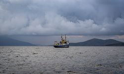 Marmara'nın deniz çayırları haritalandırılıyor