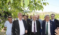 Zirai Don Mağduru Üreticiye 6 Milyon TL Destek