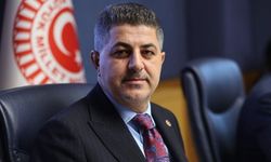 Milletvekili Şan'dan 'Bayrağımıza yönelik saldırı'ya tepki