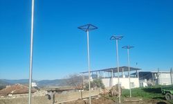 Muğla'da leylekler için yuva alanları yapıldı