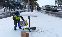 Nurdağı'nda sokak hayvanları için yiyecek bırakıldı