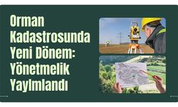 Orman Kadastrosunda Yeni Dönem: Yönetmelik Yayımlandı