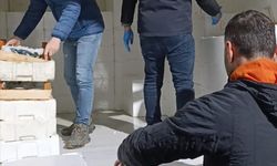 Samsun’da yasal boy sınırı altı 3 ton mezgit ele geçirildi.