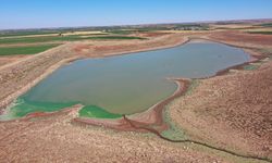 Son dönemdeki yağışlar can suyu oldu