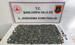 Şanlıurfa'da 2 bin 638 tarihi sikke ele geçirildi