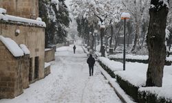 Şanlıurfa'daki tarihi Balıklıgöl karla beyaza büründü
