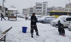 Şehitkamil’de Sokak Hayvanlarına Kar Desteği