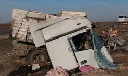 Şırnak'ta 2 tırın çarpıştığı kazada, sürücüler yaralandı
