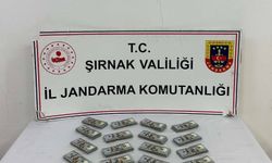 Şırnak’ta operasyonlarda 117 şüpheliye işlem