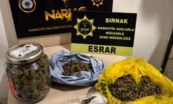 Şırnak’ta Kaçakçılık Operasyonlarında 49 Şüpheli