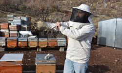Şırnak'ta ürettiği balla Londra'dan ödülle dönmek istiyor