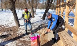 Polislerden Sokak Hayvanlarına Yiyecek...