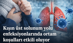Kışın Üst Solunum Yolu Enfeksiyonlarında Ortam Etkisi Büyük