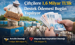 Çiftçilere 1,6 Milyar TL’lik Destek Ödemesi Bugün Yapılıyor
