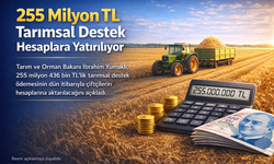 255 Milyon TL Tarımsal Destek Hesaplara Yatırılıyor