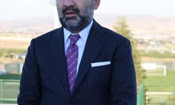 Türkiye'den geçen yıl 401 milyon dolarlık domates ihraç edildi