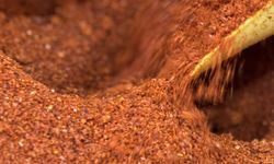 Geçen yıl 95 ülkeye 14,1 milyon dolarlık pul biber sattık