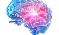 Türkiye'nin 'IQ haritası' güncellendi: Zirve Eskişehir'in