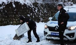 Uludere'de sokak hayvanları için yiyecek bırakıldı