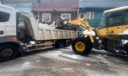 Uludere'de yoğun yağışla biriken kar kamyonlarla ilçe dışına taşınıyor