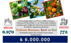 Adıyaman'da Zirai Don Zararları Karşılanıyor