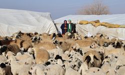 Deprem mağduru üretici devlet yardımıyla toparlandı