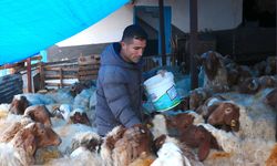 Depremzede besici, devlet desteğiyle güçlendi