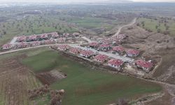 6 ŞUBAT DEPREMLERİNİN ÜÇÜNCÜ YILI - Diyarbakır'da kırsaldaki 480 depremzede, köy tipi afet konutlarına yerleşti