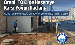 Adıyaman TOKİ’de Haşereye Karşı Yoğun İlaçlama