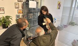 Adıyaman'da şiddete uğrayan kedi ameliyatla kurtarıldı
